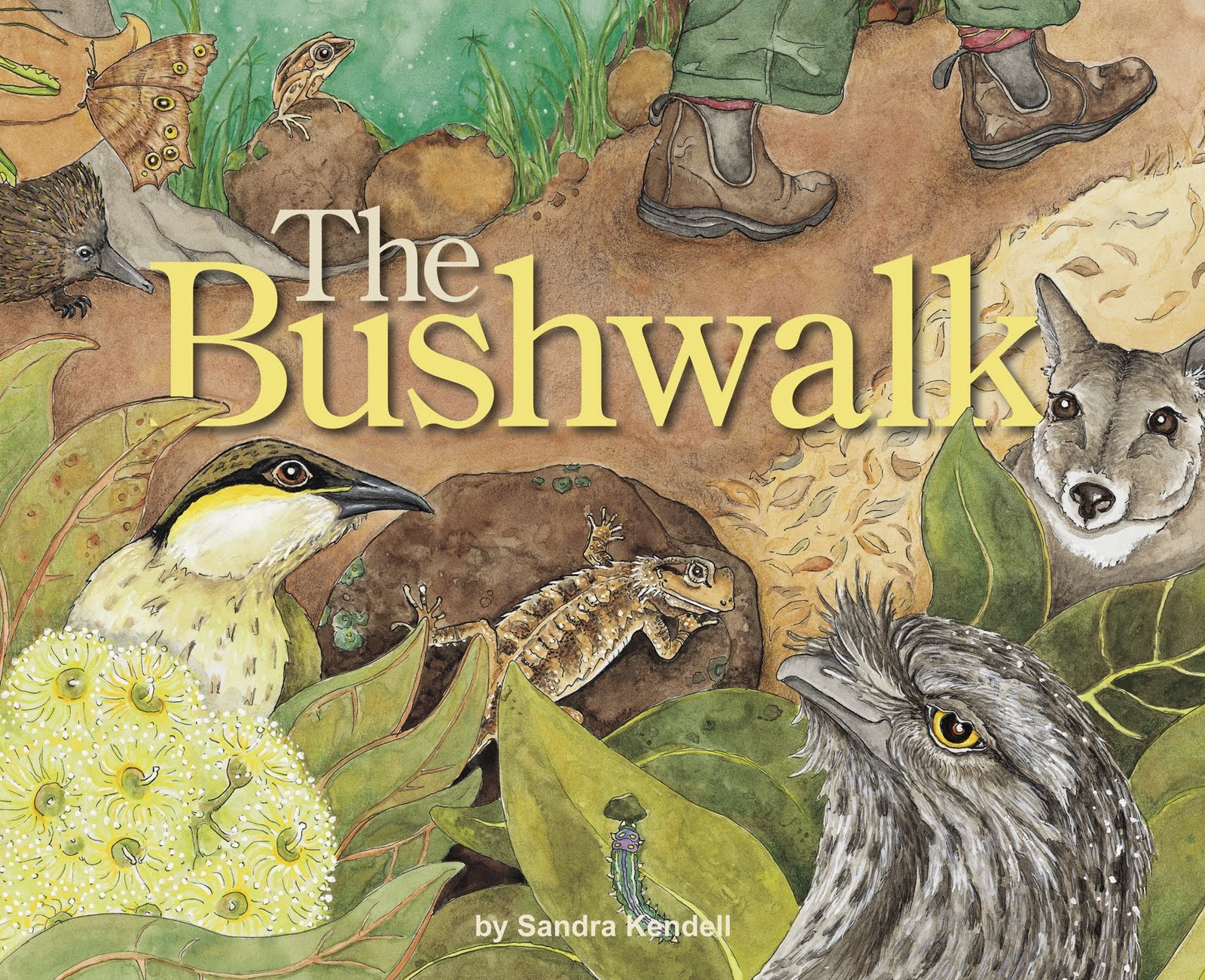 The Bushwalk