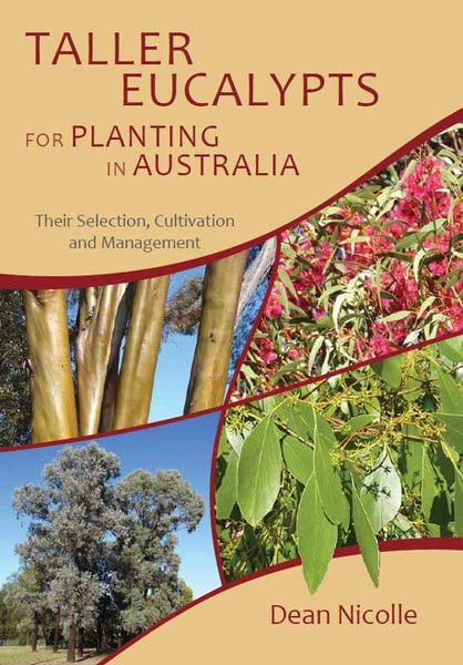 Taller Eucalypts for Planting in Aust