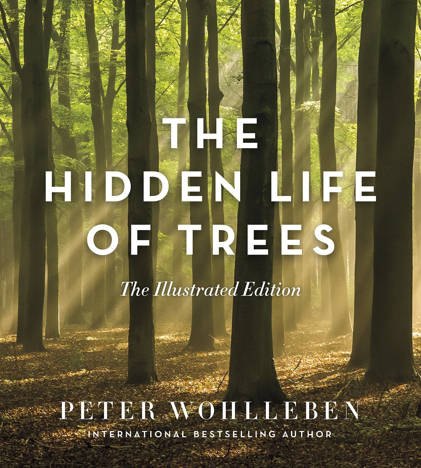 Hidden Life of Trees - The Illustrated Edition