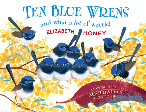 Ten Blue Wrens and what a lot of wattle!