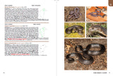 Guide to the ACTs Wildlife