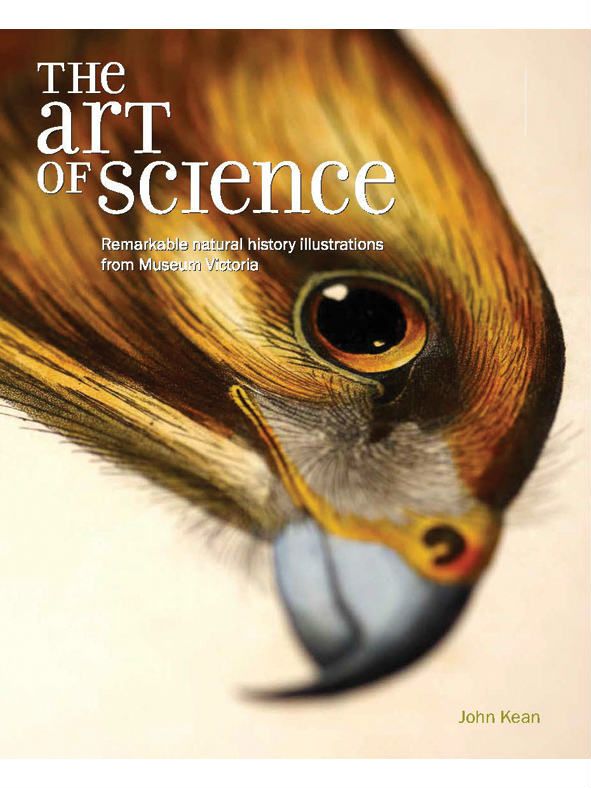 The Art of Science