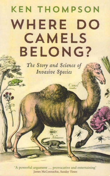 Where do Camels Belong