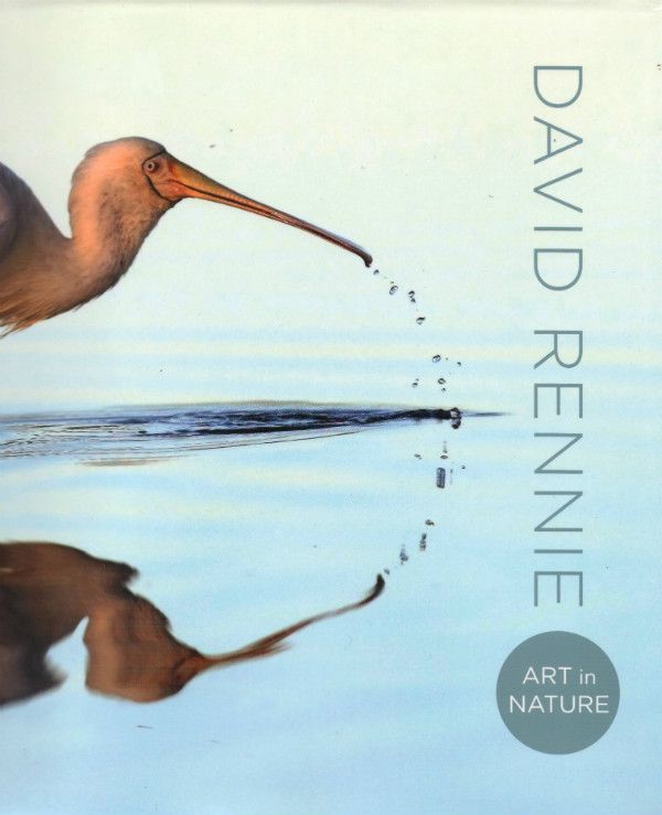 Art in Nature