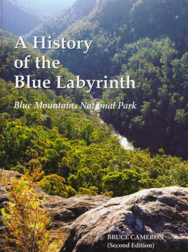 History of the Blue Labyrinth