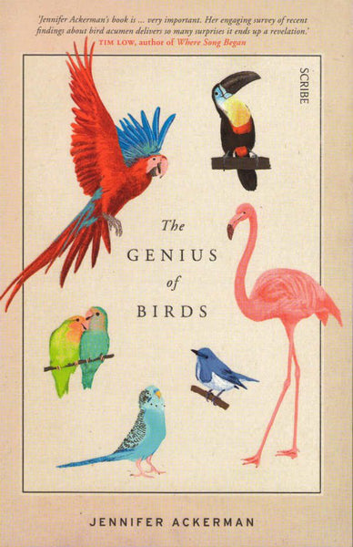 The Genius of Birds