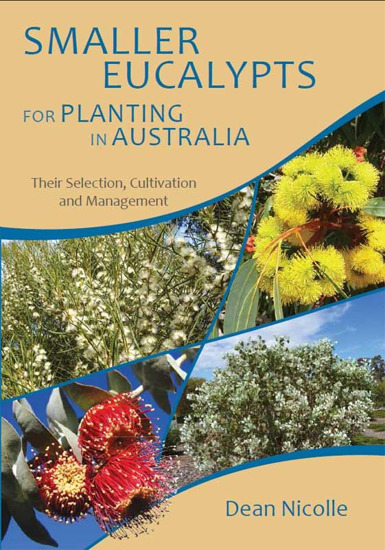 Smaller Eucalypts for Planting in Aust