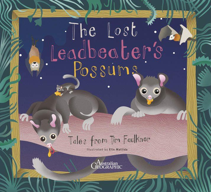 The Lost Leadbeaters Possum