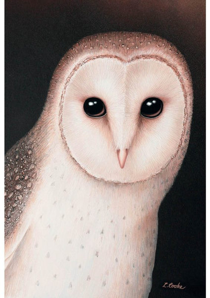 Card Masked Owl