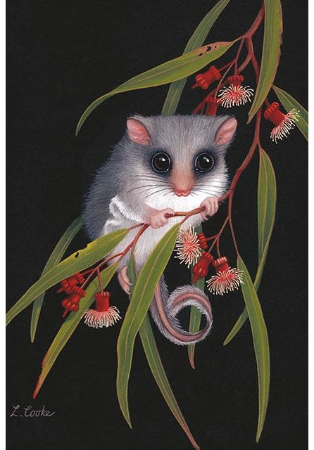 Card Feathertail Glider