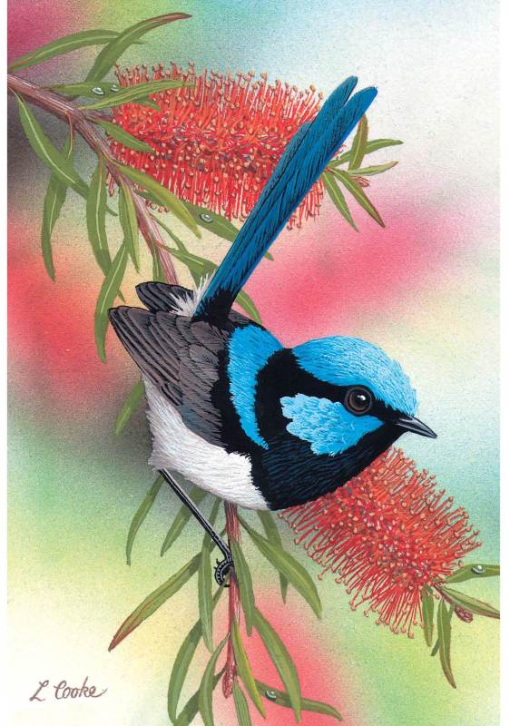 Card Blue Wren and Bottlebrush