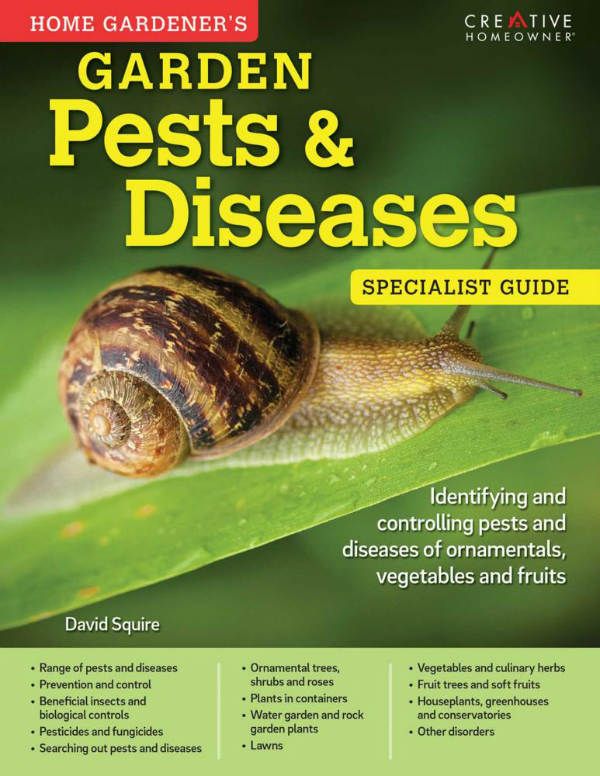 Home Gardeners Pests and Diseases