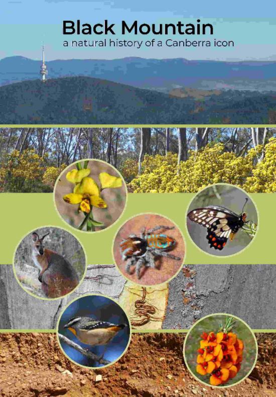 Black Mountain - A Natural History of a Canberra Icon