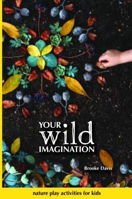Your Wild Imagination