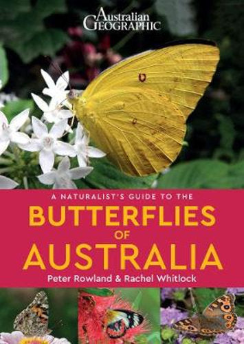 Naturalists Guide to Butterflies of Australia