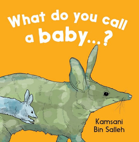 What Do You Call a Baby