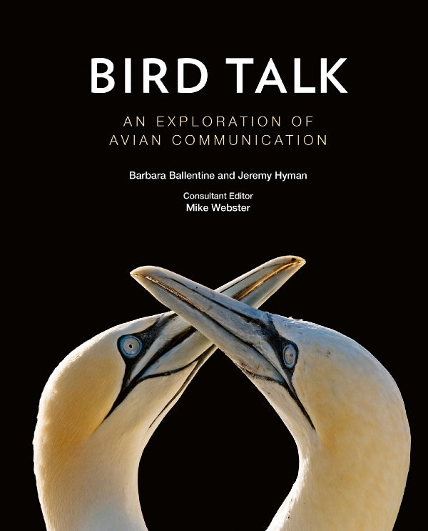 Bird Talk