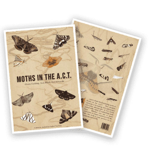 Moths in the ACT