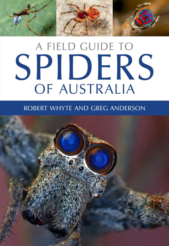 Field Guide to Australian Spiders
