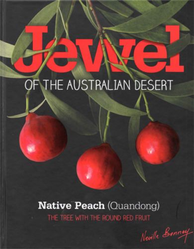 Jewel of the Australian Desert