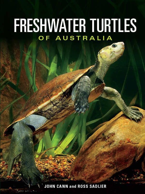 Freshwater Turtles of Australia