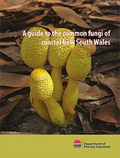 Common Fungi of Coastal NSW
