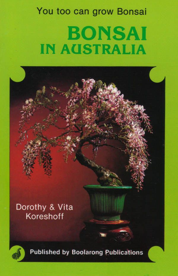 Bonsai in Australia