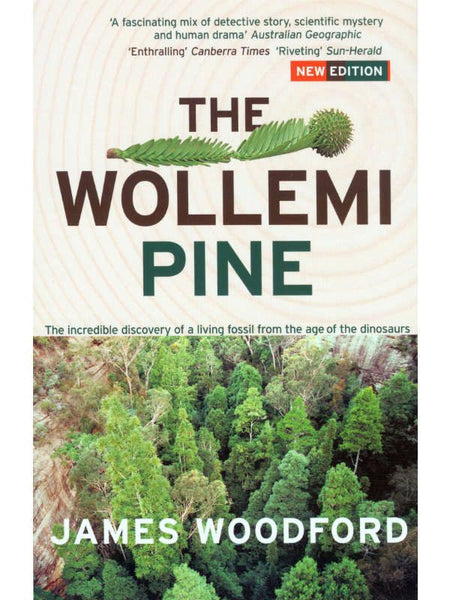 Wollemi Pine