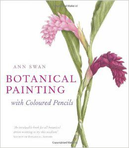 Botanical Painting With Coloured Pencils