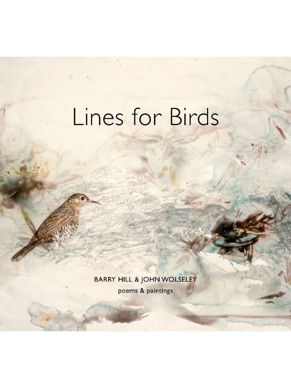 Lines for Birds
