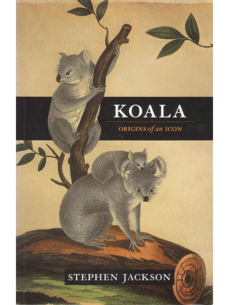 Koala Origins of an icon