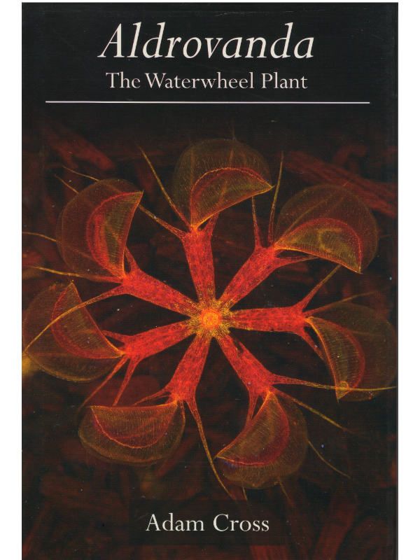 Aldrovandra the Waterwheel Plant