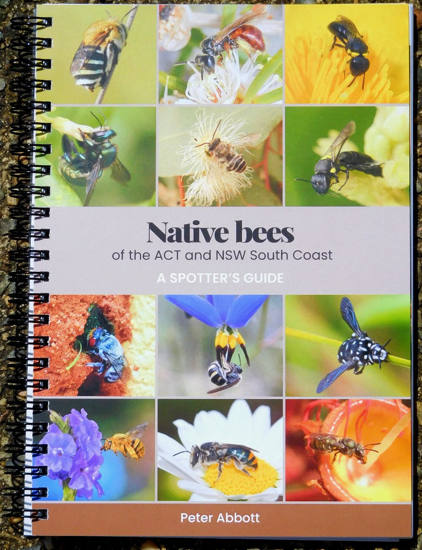 Native Bees of the ACT and NSW