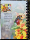 Native Bees of the ACT and NSW